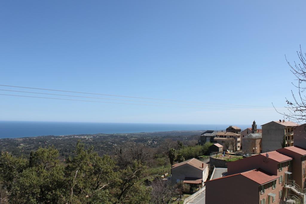 Villa Petrera Valle-di-Campoloro Extérieur photo